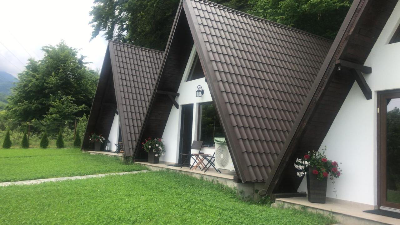 Casutele De Sub Padure Camping