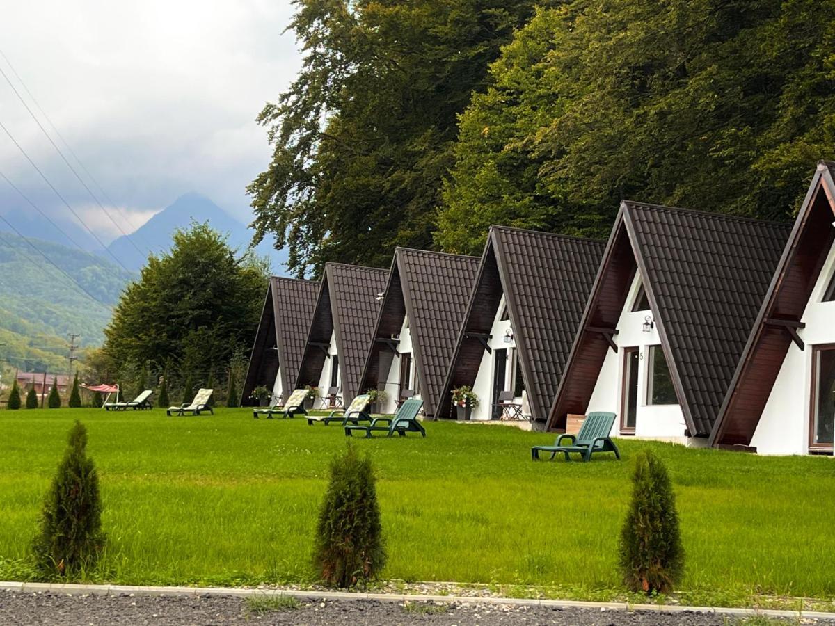 Casutele De Sub Padure Camping Avrig