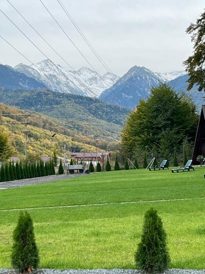 Camping Casutele De Sub Padure *